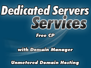 Cut-price dedicated hosting server service